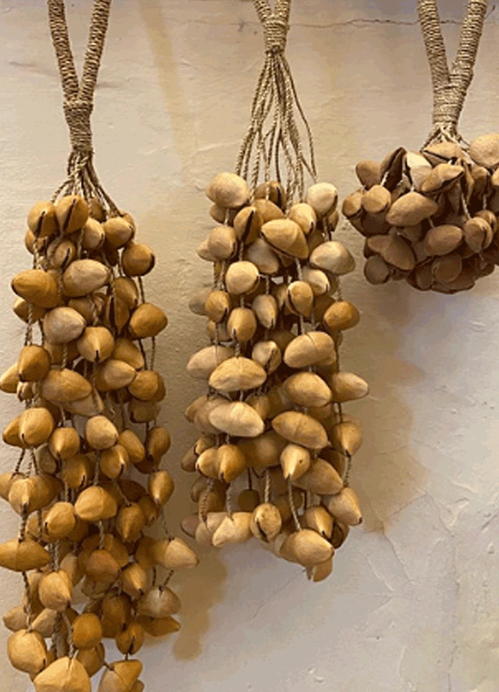 Seed Shaker